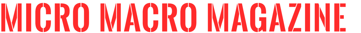 Micro Macro Magazine Logo